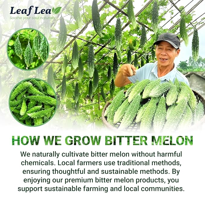 LeafLea Bitter Melon Tea Bags, Wellness & Digestion Support, 40 Count | Natural Cundeamor & Melon Amargo Gohyah Fruit Tea, Caffeine-Free, Sugar-Free, Non-GMO, Vegan, Single Box