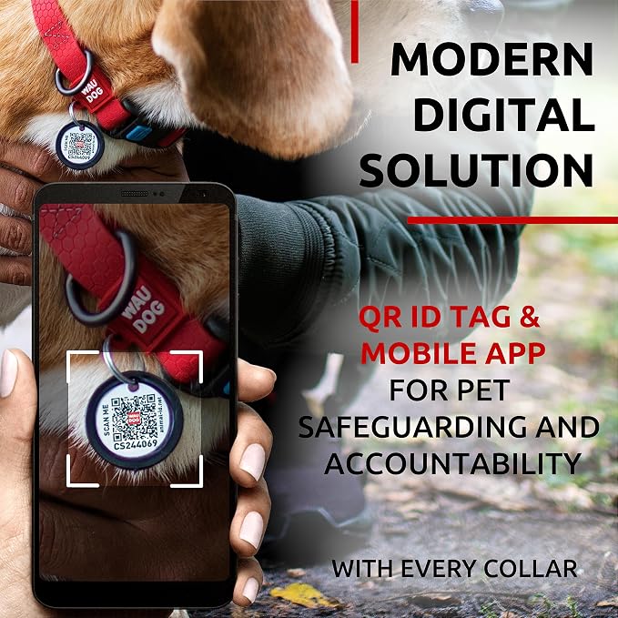 WAUDOG Waterproof Dog Collar Airtag Holder QR Tag Small Medium Large Dogs | Water and Dirt Resistant, Quick Dry QR Pet Tag Adjustable Durable Comfort for Male and Female Dogs Outdoor Walking Training