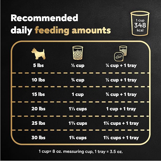 Cesar Small Breed Dry Dog Food for Small Dogs,Rotisserie Chicken Flavor and Spring Vegetables Garnish,12 lb Bag,(Pack of 2)