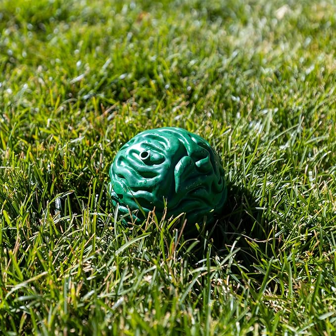 PetKORE Luna Ball - 4" Large, Green, Dog & Puppy Toy, Flexible Rubber, Teething & Chewing, Tactile Surface, Bounce & Fetch, Pet Indoor-Outdoor Play