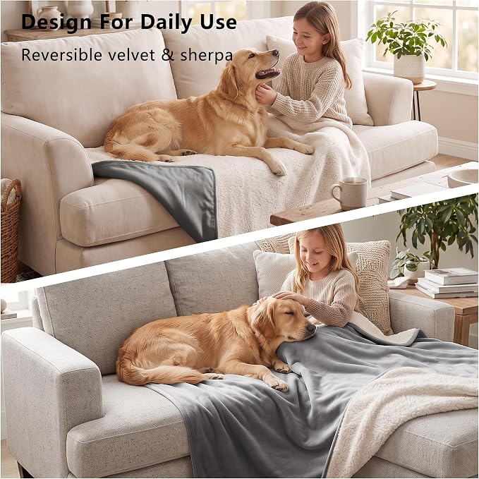 Waterproof Blanket for Dogs - Pet Throw as Furniture Protector | Cozy Sherpa & Smooth Velvet, Reversible and Machine Washable, for Couch, Bed, or Travel, 86"x108", Dark Grey