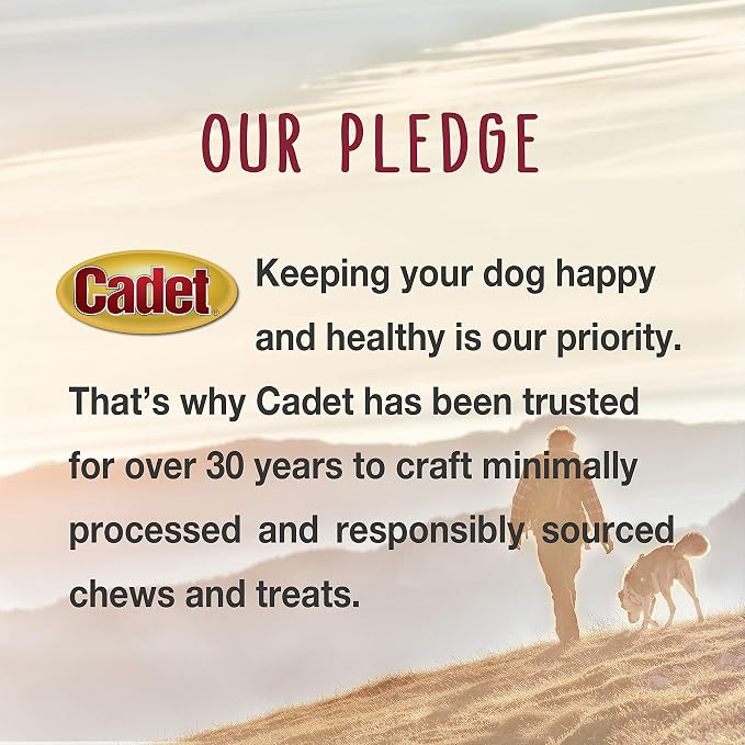 Cadet Gourmet Chicken & Apple Wrapped Biscuits Dog Treats, 14 oz | Made with real chicken & apple, dog treats wraps, crunchy healthy dog treats, great for training, for small & large breeds