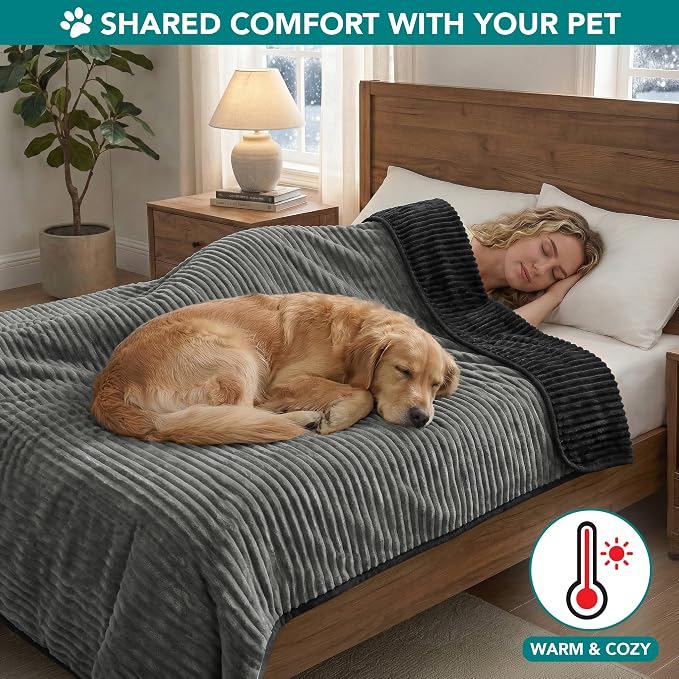 PetAmi Waterproof Dog Blanket, Leakproof Pet Blanket for Small Medium Large Cats, Soft Plush Reversible Sofa Couch Cover Protector, Washable Puppy Throw for Bed Crate, 60x80 in, Black Grey