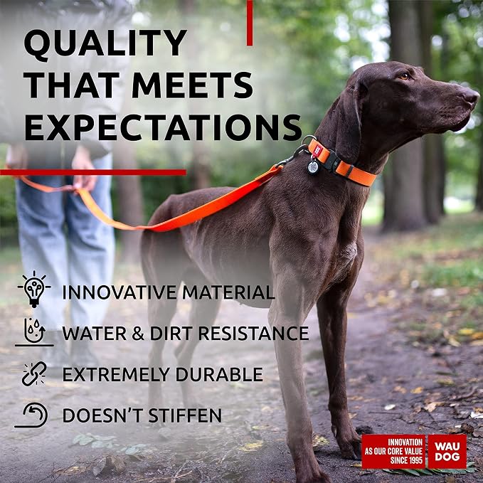 WAUDOG Waterproof Dog Collar Airtag Holder QR Tag Small Medium Large Dogs | Water and Dirt Resistant, Quick Dry QR Pet Tag Adjustable Durable Comfort for Male and Female Dogs Outdoor Walking Training