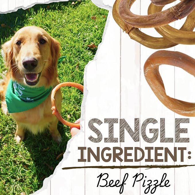 Nature Gnaws Bully Stick Rings Long Lasting Rawhide Free Dog Chews, 5 Count