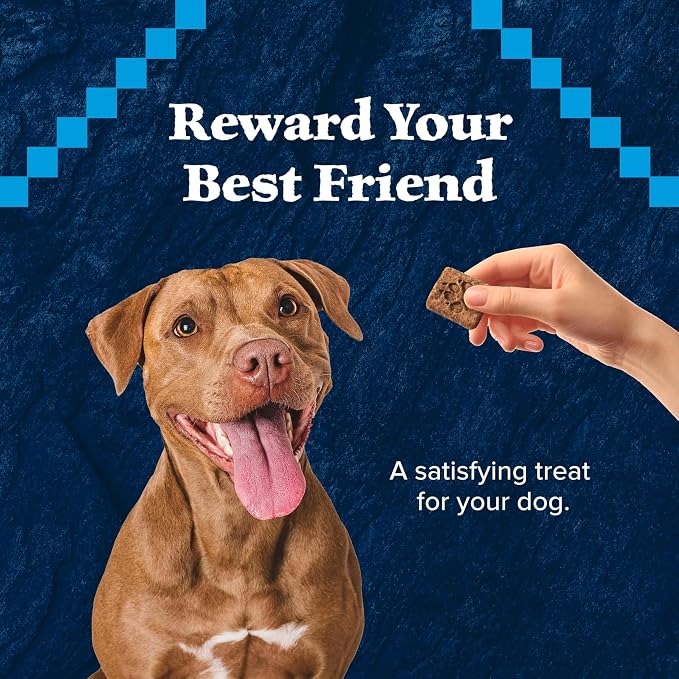 Blue Buffalo Wilderness Turkey Crunchy Dog Biscuits, Grain-Free, 10 oz | Real Turkey #1 Ingredient, Crunchy Biscuits, High Protein Nutrition, No Artificial Preservatives