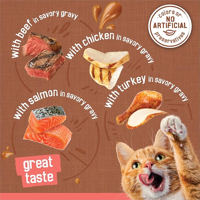 Friskies Purina Extra Gravy Wet Cat Food Chunky Variety Pack (with Chicken,Turkey,Salmon,Beef) - 5.5 oz. Cans,(Pack of 48)