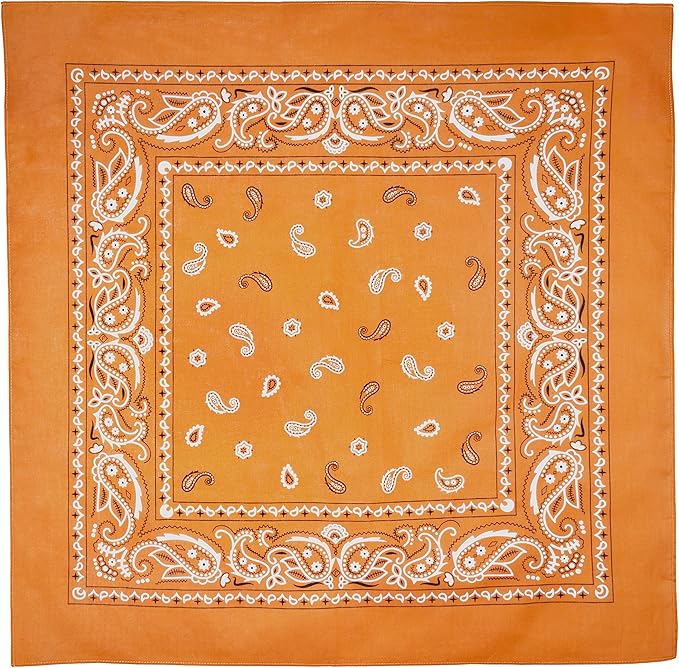 Gift Packaging Bandana for Men Women - 100% Cotton, Paisley, 22x22 In, 1 Pack - Large Bandanna Handkerchief Cowboy Hanky