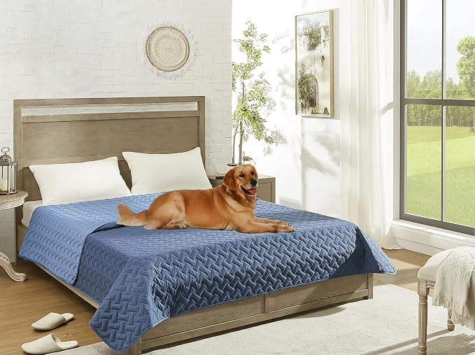 gogobunny 100% Double Sided Waterproof Dog Blanket Soft Pet Bed Cover Reversible Protect Furniture Couch Sofa Car for Puppy Cat Kids (Dark Blue/Light Blue, 30x70 Inch (Pack of 1))