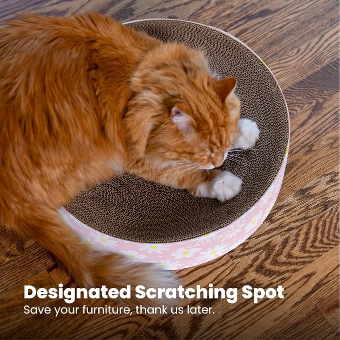Catstages Scratch & Snuggle 2-in-1 Cat Scratcher & Lounger, Corrugated Cardboard Scratching Pad, Bowl-Shaped Design for Kittens & Indoor Cats up to 15 lbs, 16"