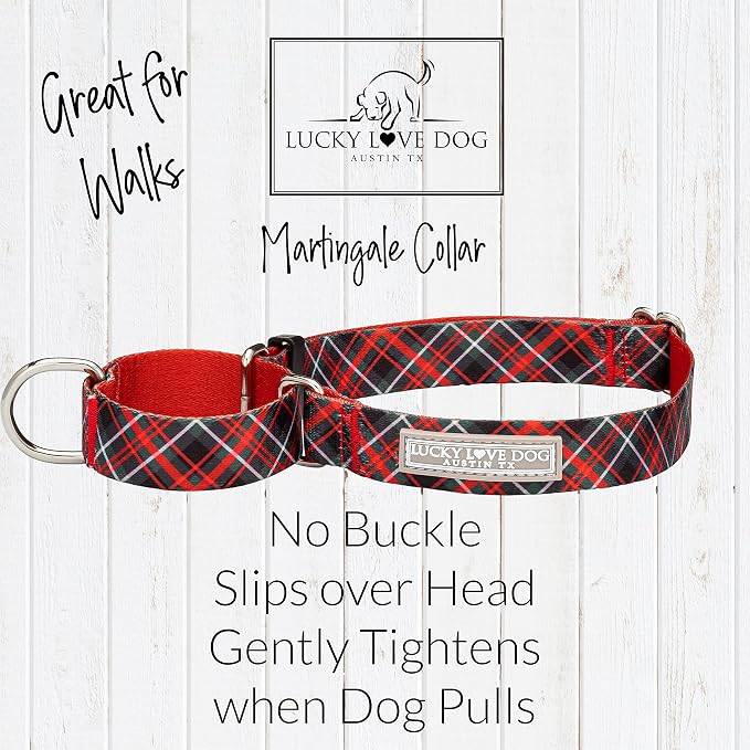 Lucky Love Dog Martingale Collar for Medium Dogs No Slip – Heywood, Medium