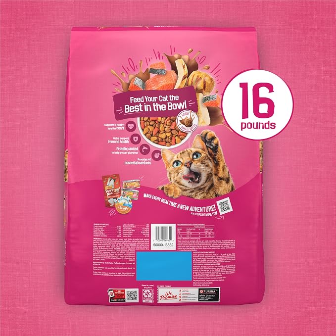Purina Friskies Gravy Swirlers with Flavors of Chicken, Salmon and Gravy Dry Cat Food - 16 Lb. Bag