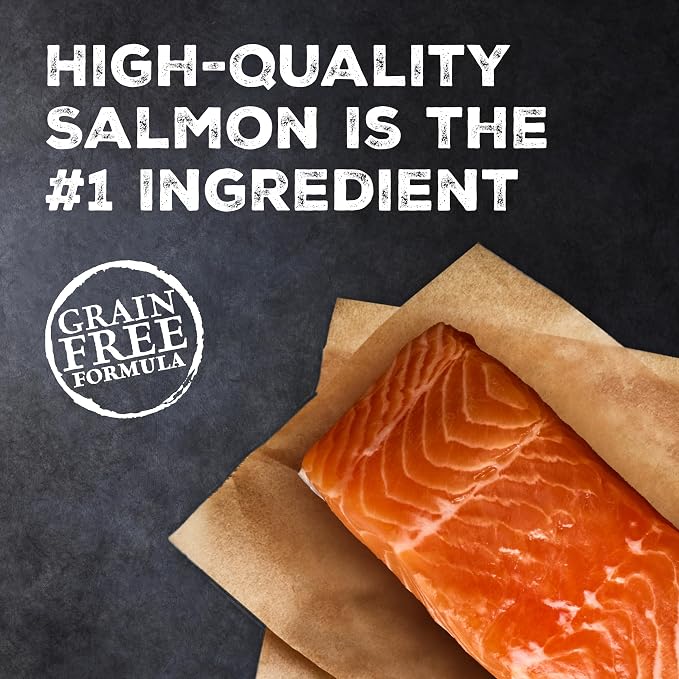 Blue Buffalo Wilderness Salmon Adult Dry Cat Food, Grain-Free, 5 lb | Real Salmon #1 Ingredient, High Protein Nutrition, Supports Immunity with Antioxidant-Rich LifeSource Bits