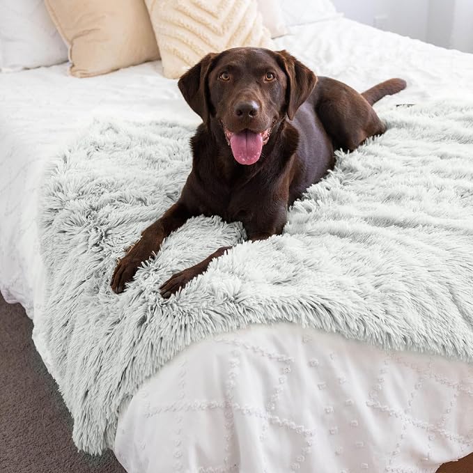 Best Friends by Sheri Calming Shag Dog Blanket – Ultra Soft Faux Fur Pet Throw, Anxiety-Relief, Lightweight Warm Bed Cover for Dogs and Cats, Machine Washable, Frost Gray, 40" x 50"