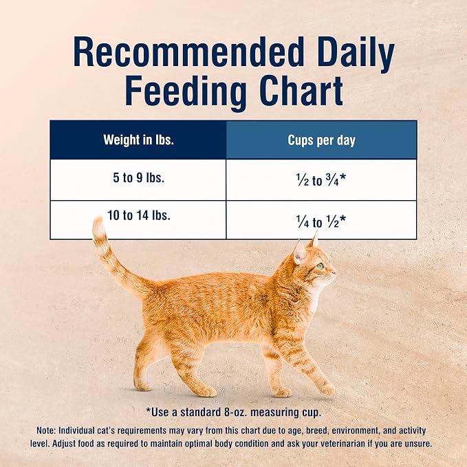 Blue Buffalo True Solutions Digestive Care Chicken Dry Cat Food, 11 lb | Adult Formula, Clinically Proven Prebiotic Fiber, Vet-Recommended High-Protein