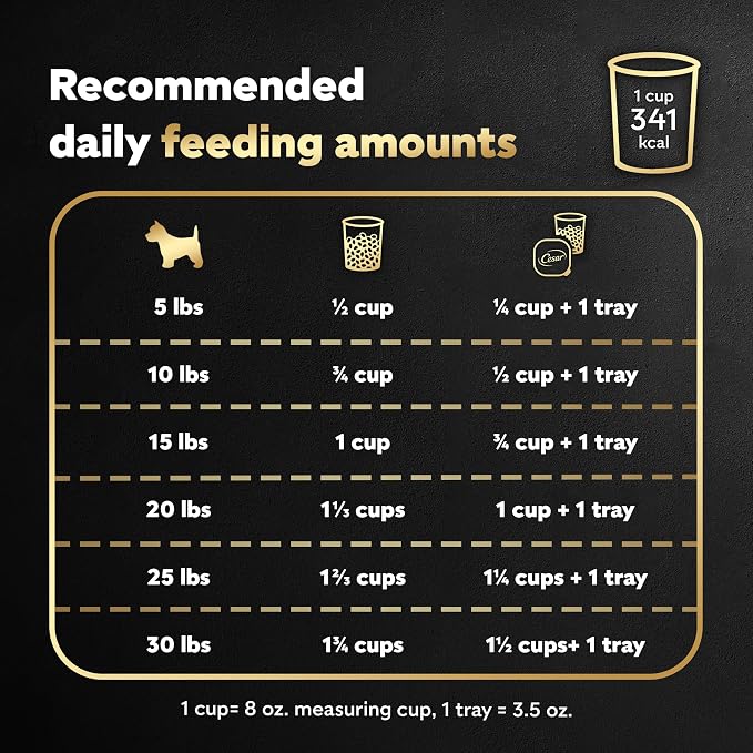 Cesar Small Breed Dry Dog Food, Filet Mignon & Spring Vegetable, 2.7 lb | Made in USA, Real beef #1 ingredient, 26 essential nutrients, supports small breed health, no artificial flavors