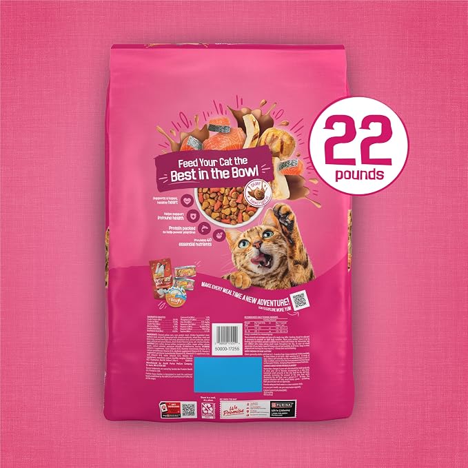 Purina Friskies Gravy Swirlers with Flavors of Chicken, Salmon and Gravy Dry Cat Food - 22 lb. Bag