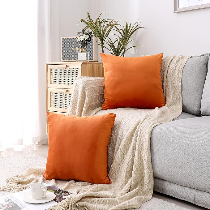 NiNi ALL Orange Velvet Throw Pillow Covers 20x20 Pack of 2 Decorative Couch | Soft Solid Cushion Squar Pillow Cases for Chair Sofa Bedroom Farmhouse Living room Modern Luxury Home Decor Fall Halloween