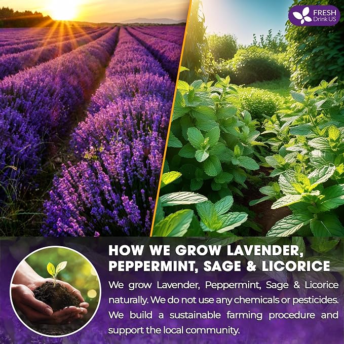 FreshDrinkUS, Premium 35 Tea Bags Lavender Mint Tea, 100% Natural, Blend of Lavender, Peppermint, Sage and Licorice. Made with Natural Material Tea Bags. No Sugar, No Caffeine, Vegan.