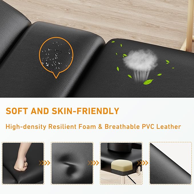 Brelley Massage Table Portable Professional 3 Sections Reclining Massage Couch, Aluminum Adjustable Esthetician Bed Tattoo Table SPA Lash Salon Bed with Carrying Bag (Black)