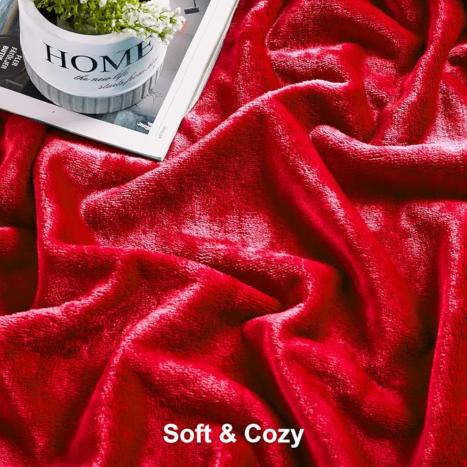 DREAMNINE Extra Soft Fuzzy Fleece Throw Blanket for Couch Sofa Chair 50" x 60", Decorative Solid Lightweight Fluffy Velvet Blankets,Cozy Accent Shaggy Plush Warm Flannel Blanket for Winter Bedroom,Red