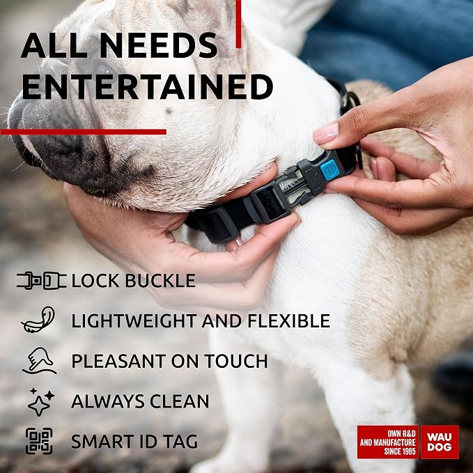 WAUDOG Waterproof Dog Collar Airtag Holder QR Tag Small Medium Large Dogs | Water and Dirt Resistant, Quick Dry QR Pet Tag Adjustable Durable Comfort for Male and Female Dogs Outdoor Walking Training