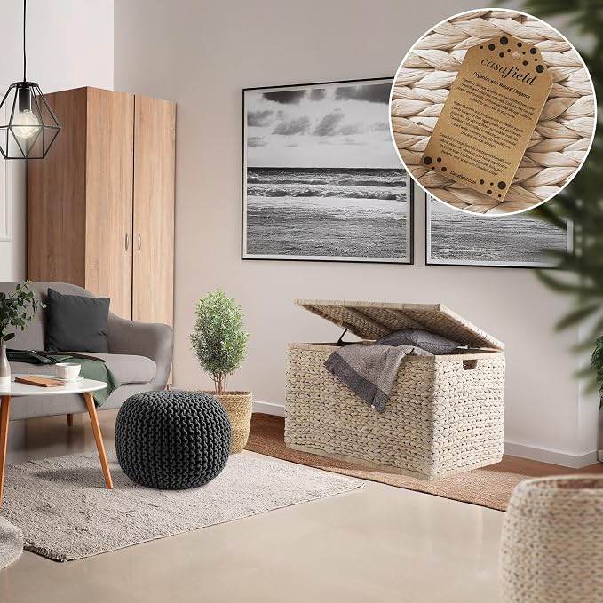 Casafield 30" Storage Chest with Lid, Handles, and Safety Hinge - Whitewash White, Hyacinth Wicker Storage Trunk for Entry Way, Living Room, Bedroom