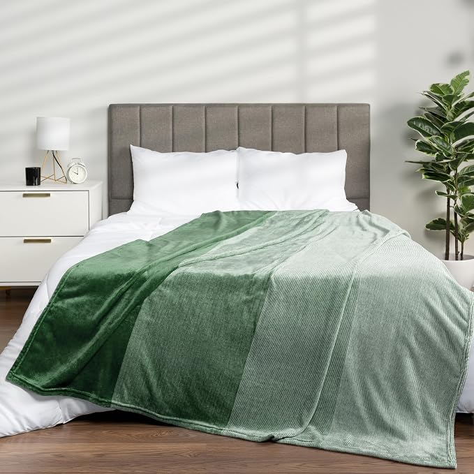 PAVILIA Green Ombre Fleece Throw Blanket for Couch Sofa Bed, 50x60 | Gradient, Soft Plush Flannel Fleece, Lightweight Accent Blanket, Warm All Season, Machine Washable, Cozy Decor Gift