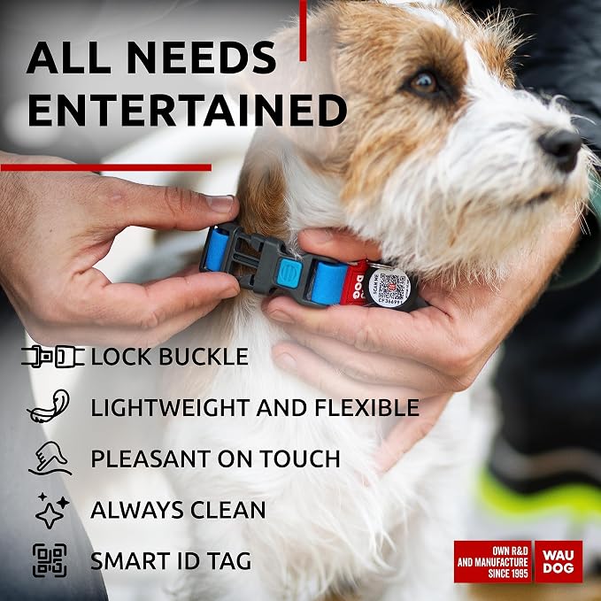 WAUDOG Waterproof Dog Collar Airtag Holder QR Tag Small Medium Large Dogs | Water and Dirt Resistant, Quick Dry QR Pet Tag Adjustable Durable Comfort for Male and Female Dogs Outdoor Walking Training