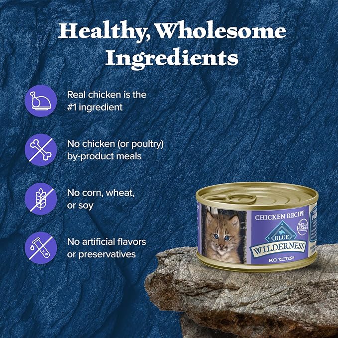 Blue Buffalo Wilderness High-Protein Grain-Free Wet Kitten Food,Chicken Paté Recipe,3-oz Cans,(Pack of 48)