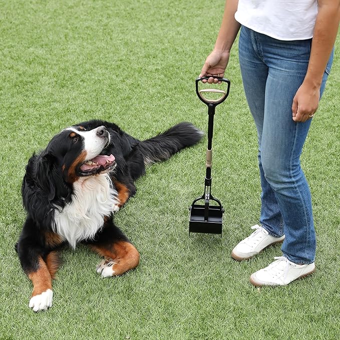 Arm & Hammer Pooper Scooper Claw Scoop Dog Poop Scooper for Yard Pet Waste Management System,(Pack of 6)