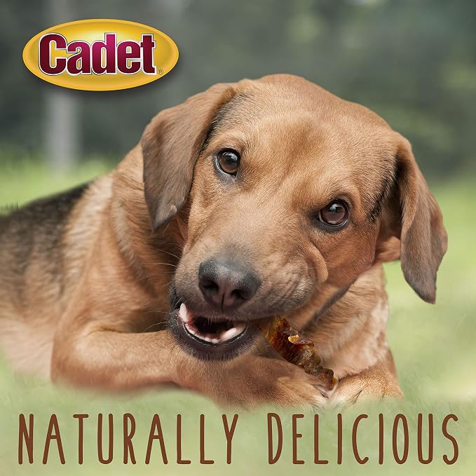Cadet Gourmet Sweet Potato & Chicken Wrapped Biscuits Dog Treats, 14 oz | Real sweet potato & chicken, dog treats wraps, crunchy healthy dog treats, great for training, for small & large breeds