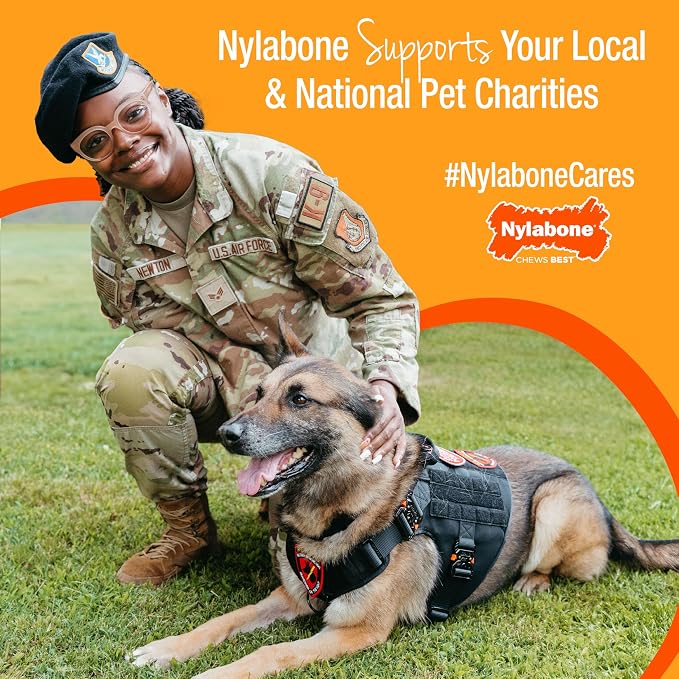 Nylabone Healthy Edibles Dog Treats, Bacon Flavor, X-Small, 2 Count | Natural dog chews, made in USA, highly digestible, vet recommended, long lasting chews for small dogs up to 15 lbs