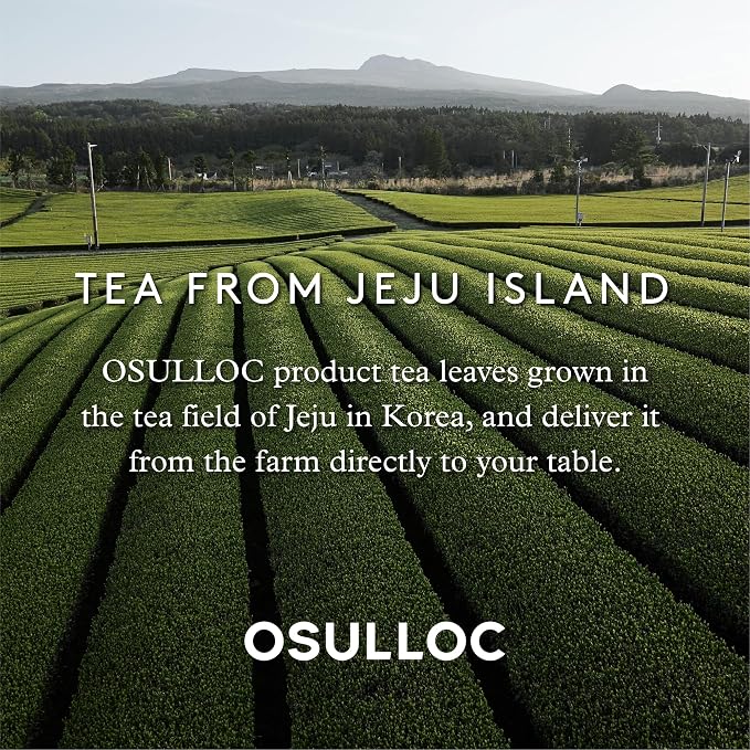 OSULLOC Peach Black Tea (Tropical Mango & Peach Flavor), Iced tea bags, Fruit tea Blend, Premium Teabags from Jeju Island, 20 count