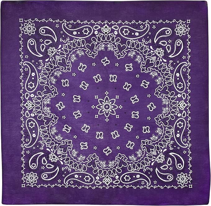 Gift Packaging Bandana for Men Women - 100% Cotton, Paisley, 22x22 In, 1 Pack - Large Bandanna Handkerchief Cowboy Hanky