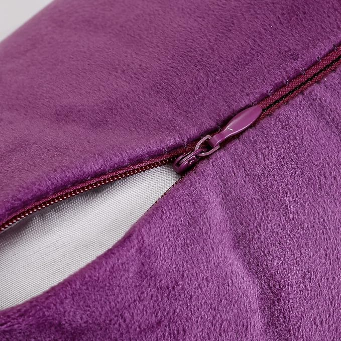 NiNi ALL Decorative Throw Pillow Covers Pack of 2, Velvet Throw Pillow Cases for Couch Pillows Cover Bedroom Living Room Outdoor, Pillow Covers 18x18 Inch Purple