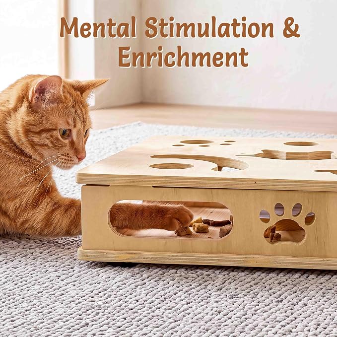 Interactive Cat Toys with Cat Puzzle Box, Cat Puzzle Toys, Kitten Toy