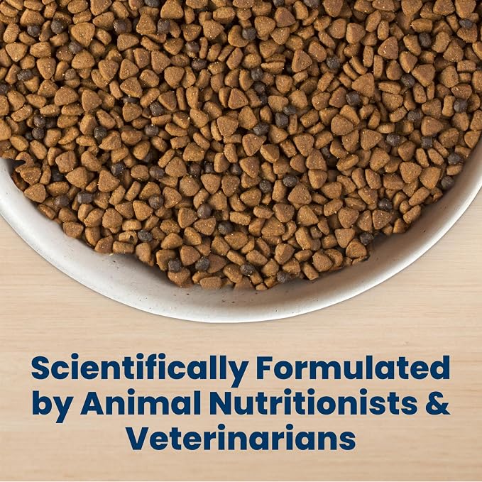 Blue Buffalo Life Protection Formula Lamb Puppy Dry Dog Food, 34 lb | With DHA for Brain Development, Real Lamb #1 Ingredient, Antioxidant-Rich LifeSource Bits, Promotes Healthy Muscle Growth