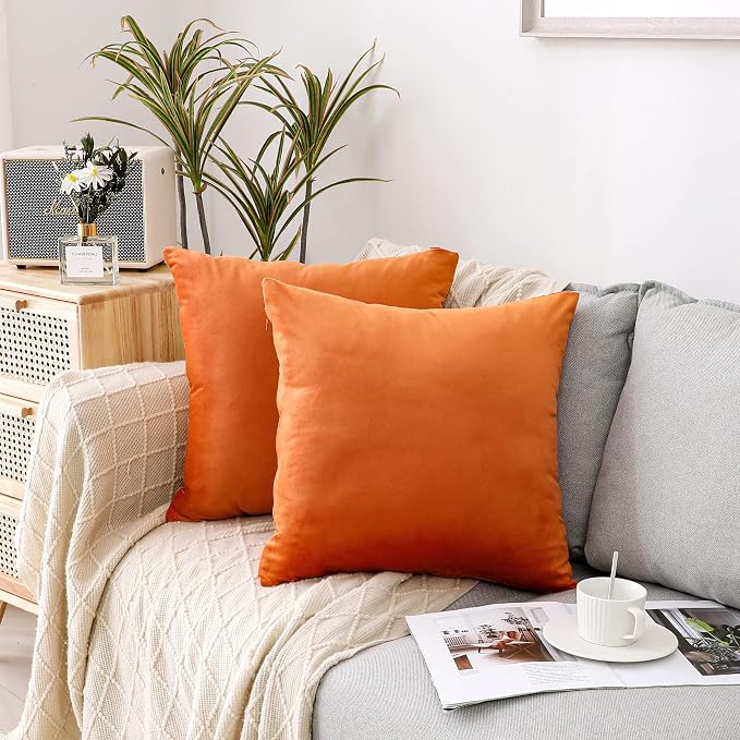 NiNi ALL Orange Velvet Throw Pillow Covers 24x24 Pack of 2 Decorative Couch | Soft Solid Cushion Squar Pillow Cases for Chair Sofa Bedroom Farmhouse Living room Modern Luxury Home Decor Fall Halloween