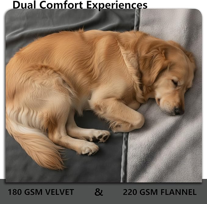 Waterproof Blanket - Reversible Dog Throw as Furniture Protector | Soft Velvet & Flannel, TPU Leak-Proof Liner, Machine Washable, Fits Couch and Bed, 52" x 82", Black/Lightgrey