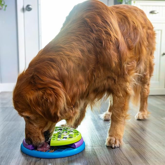 Outward Hound Nina Ottosson Lickin’ Layers 3-in-1 Dog Toy Treat Puzzle, 10" | Level 2 Intermediate, Interactive Slow Feeder, Lick Mat, Puzzle, Holds 2 Cups Food, Non-Slip Base, Enrichment, Dogs & Puppies