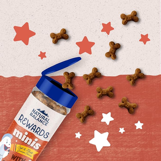 Natural Balance Limited Ingredient Mini-Rewards Salmon Grain-Free Dog Training Treats for Dogs | 5.3 Ounce Canister (Pack of 2)