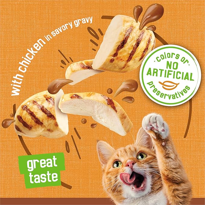 Friskies Purina Gravy Pate,Wet Cat Food Extra Gravy Pate with Chicken in Savory - 5.5 oz. Cans,(Pack of 48)