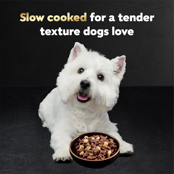 Cesar Home Delights & Loaf Wet Dog Food, Variety Lovers, 36 count, 2 pack