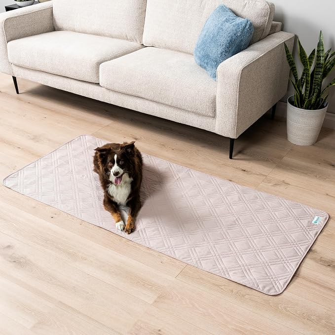 PetAmi Waterproof Couch Cover for Dog Nonslip Bed Sofa Blanket, 30x70 Beige