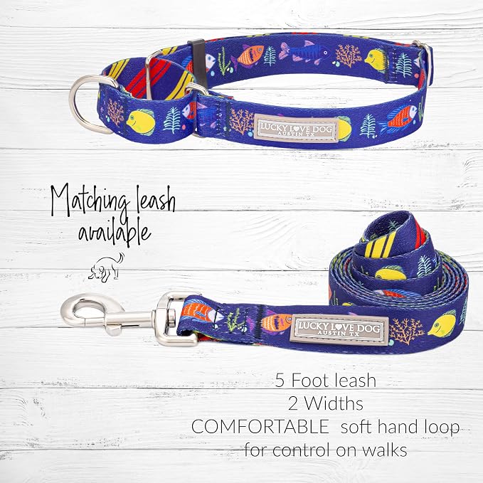 Lucky Love Dog Martingale Collar for Small Dogs No Slip – Mackey, Small