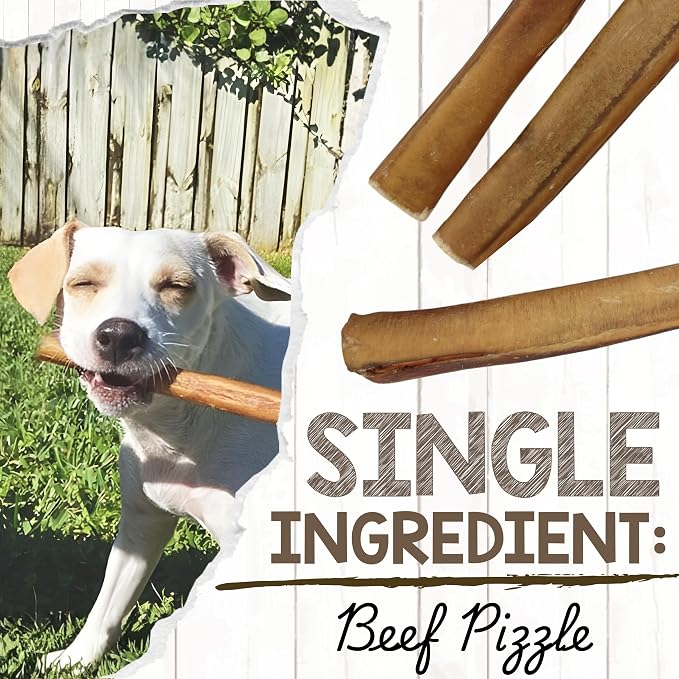 Nature Gnaws Extra Thin Bully Sticks 5-6" Rawhide Free Dog Chews, 10 Count | Long Lasting for Light Chewers and Puppies - Natural Beef Dog Chew Bones - Single Ingredient - No Artificial Preservatives