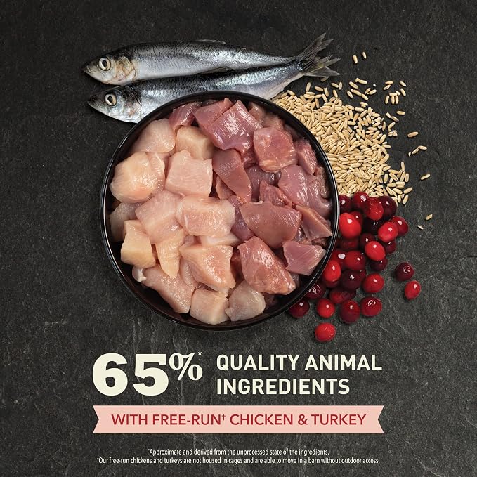 ACANA Dry Cat Food for Indoor Cats Indoor Entrée Chicken Turkey 4lb Bag | Includes Probiotics, Digestive Health, Weight Management, Free-Run Poultry, World's Finest Ingredients