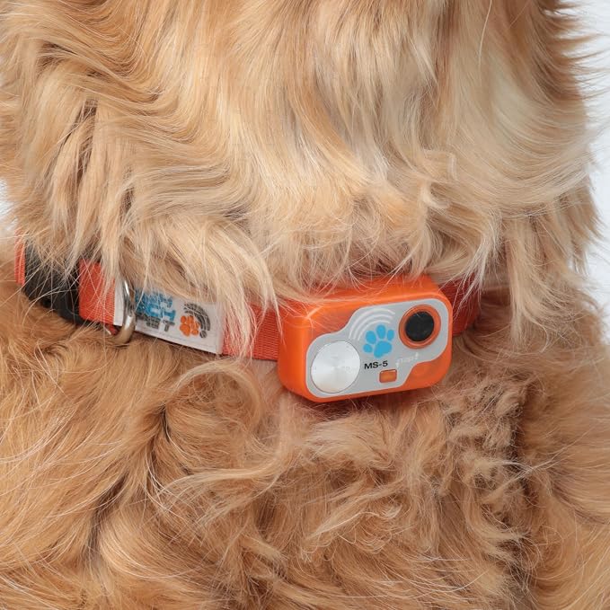 Genuine MS-5® Designer Series Automatic Pet Door Collar Tested & Certified by High Tech Pet for Dogs and Cats - Complies with Power Pet Door Performance Warranty, Waterproof (Orange, Dog)