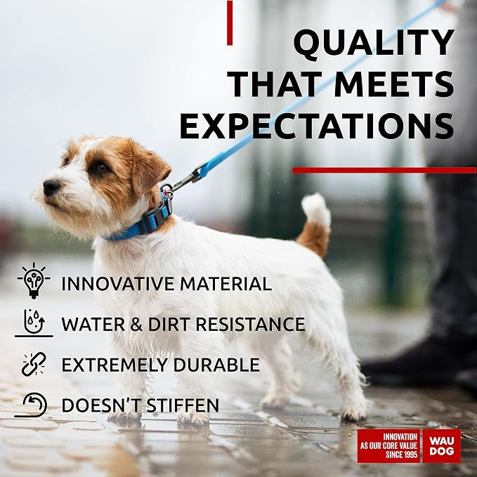 WAUDOG Waterproof Dog Collar Airtag Holder QR Tag Small Medium Large Dogs | Water and Dirt Resistant, Quick Dry QR Pet Tag Adjustable Durable Comfort for Male and Female Dogs Outdoor Walking Training